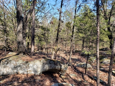 Sardis Lake Recreational Cabin & 10 Acres Land - image 22