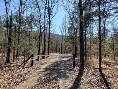 Sardis Lake Recreational Cabin & 10 Acres Land - image 26