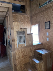 Sardis Lake Recreational Cabin & 10 Acres Land - image 16