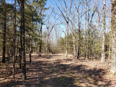 Sardis Lake Recreational Cabin & 10 Acres Land - image 23