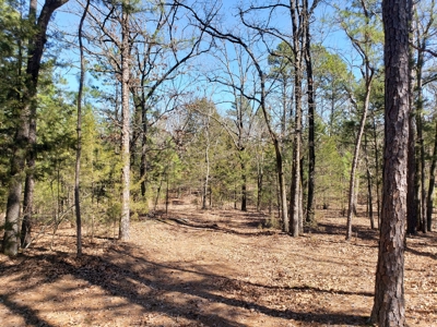 Sardis Lake Recreational Cabin & 10 Acres Land - image 19