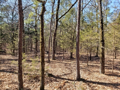 Sardis Lake Recreational Cabin & 10 Acres Land - image 25