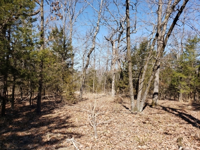 Sardis Lake Recreational Cabin & 10 Acres Land - image 24