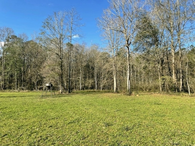 184 acres in Pike County South MS Camp Timber and Ponds - image 44