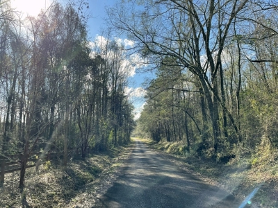 184 acres in Pike County South MS Camp Timber and Ponds - image 48