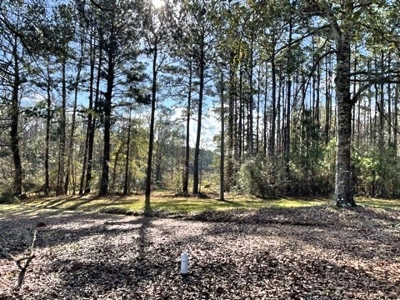 184 acres in Pike County South MS Camp Timber and Ponds - image 30