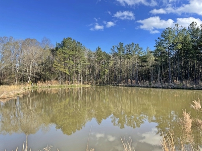 184 acres in Pike County South MS Camp Timber and Ponds - image 4