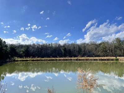 184 acres in Pike County South MS Camp Timber and Ponds - image 35