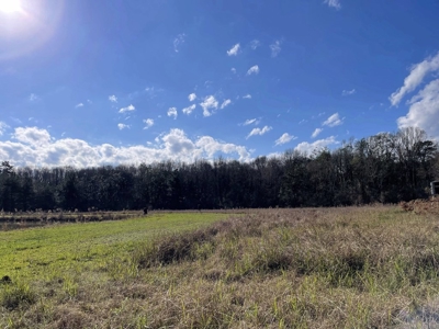 184 acres in Pike County South MS Camp Timber and Ponds - image 34