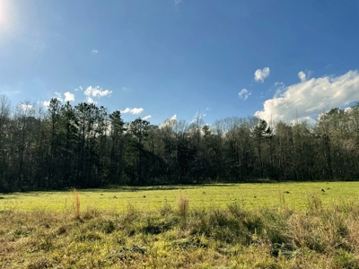 184 acres in Pike County South MS Camp Timber and Ponds - image 43