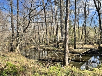 184 acres in Pike County South MS Camp Timber and Ponds - image 42