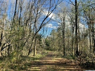 184 acres in Pike County South MS Camp Timber and Ponds - image 45
