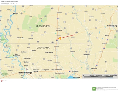 184 acres in Pike County South MS Camp Timber and Ponds - image 49