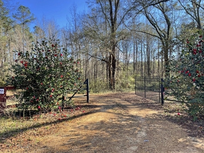 184 acres in Pike County South MS Camp Timber and Ponds - image 46