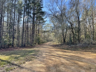184 acres in Pike County South MS Camp Timber and Ponds - image 28