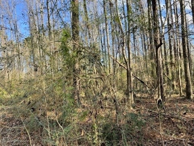 184 acres in Pike County South MS Camp Timber and Ponds - image 33