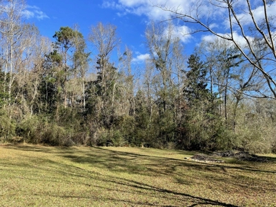 184 acres in Pike County South MS Camp Timber and Ponds - image 31