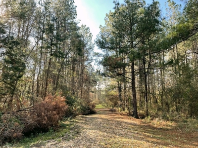 184 acres in Pike County South MS Camp Timber and Ponds - image 40