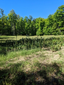Home on Private Hunt Club Land for sale Atlanta MI - image 40