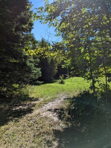 Home on Private Hunt Club Land for sale Atlanta MI - image 47