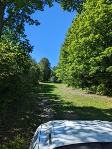 Home on Private Hunt Club Land for sale Atlanta MI - image 45
