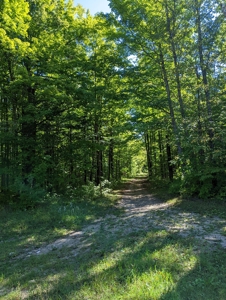 Home on Private Hunt Club Land for sale Atlanta MI - image 44