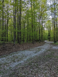 Home on Private Hunt Club Land for sale Atlanta MI - image 29