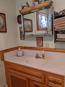 Home on Private Hunt Club Land for sale Atlanta MI - image 17
