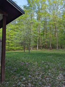 Home on Private Hunt Club Land for sale Atlanta MI - image 24