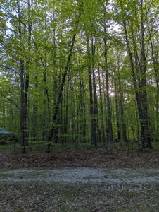 Home on Private Hunt Club Land for sale Atlanta MI - image 21