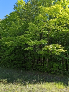 Home on Private Hunt Club Land for sale Atlanta MI - image 43