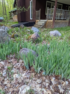 Home on Private Hunt Club Land for sale Atlanta MI - image 27