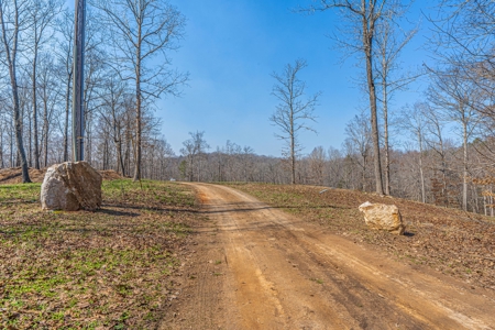Acreage with river view - image 16