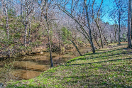 Acreage with river view - image 3