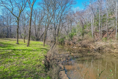 Acreage with river view - image 1