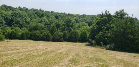 2439 Rankin Mill Rd. Falmouth Ky. 41040 Hunting & Livestock - image 14