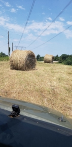 2439 Rankin Mill Rd. Falmouth Ky. 41040 Hunting & Livestock - image 42