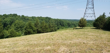 2439 Rankin Mill Rd. Falmouth Ky. 41040 Hunting & Livestock - image 25