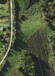 2439 Rankin Mill Rd. Falmouth Ky. 41040 Hunting & Livestock - image 3