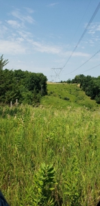 2439 Rankin Mill Rd. Falmouth Ky. 41040 Hunting & Livestock - image 26