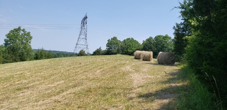 2439 Rankin Mill Rd. Falmouth Ky. 41040 Hunting & Livestock - image 23