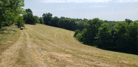 2439 Rankin Mill Rd. Falmouth Ky. 41040 Hunting & Livestock - image 15