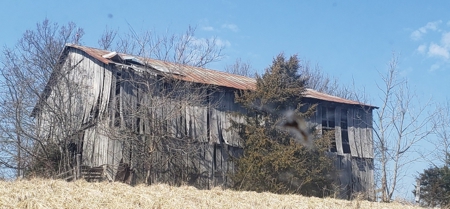 2439 Rankin Mill Rd. Falmouth Ky. 41040 Hunting & Livestock - image 5