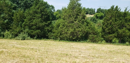 2439 Rankin Mill Rd. Falmouth Ky. 41040 Hunting & Livestock - image 29