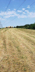 2439 Rankin Mill Rd. Falmouth Ky. 41040 Hunting & Livestock - image 41