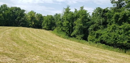 2439 Rankin Mill Rd. Falmouth Ky. 41040 Hunting & Livestock - image 13