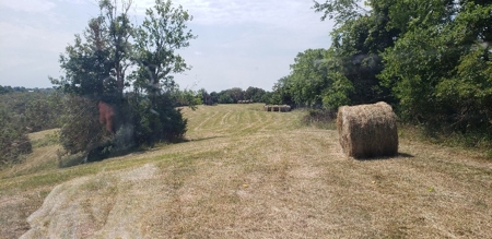 2439 Rankin Mill Rd. Falmouth Ky. 41040 Hunting & Livestock - image 10