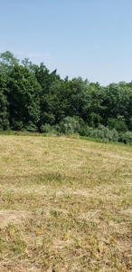 2439 Rankin Mill Rd. Falmouth Ky. 41040 Hunting & Livestock - image 43
