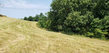 2439 Rankin Mill Rd. Falmouth Ky. 41040 Hunting & Livestock - image 31