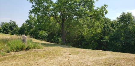 2439 Rankin Mill Rd. Falmouth Ky. 41040 Hunting & Livestock - image 35